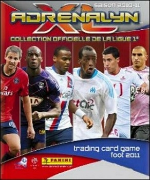 Album Panini année 2010