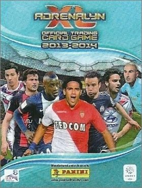 Album Panini année 2013
