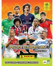 Album Panini année 2017