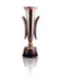 Coupe de Villes de Foires (non officielle)